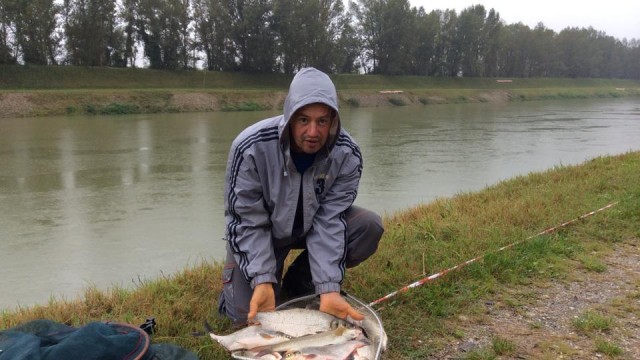 Ribarr i ribe