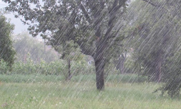 U BiH u naredna tri dana oblačno vrijeme sa kišom i pljuskovima 1 kisa11